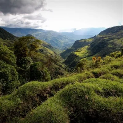  Le Parc Arví: Une Oasis Verte et un Panorama à Souffler