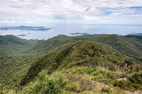 Le Jardin des Sentiers Énigmatiques ! Explorez les Mystères d'une Jungle Urbaine à Iloilo